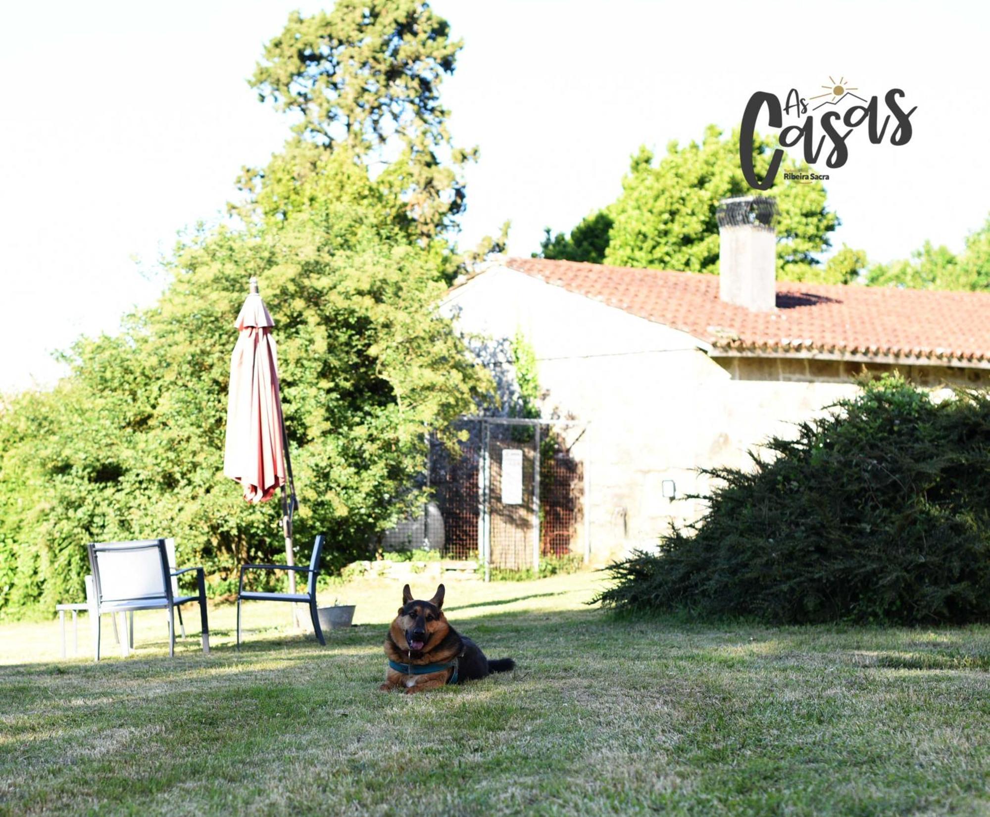 Hotel As Casas Ribeira Sacra Chantada Exteriér fotografie